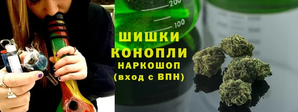 ГАЛЛЮЦИНОГЕННЫЕ ГРИБЫ Аркадак