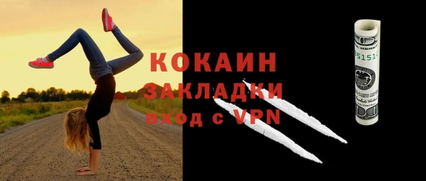 ГАЛЛЮЦИНОГЕННЫЕ ГРИБЫ Аркадак