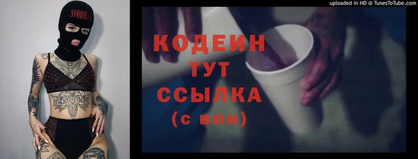 ГАЛЛЮЦИНОГЕННЫЕ ГРИБЫ Аркадак