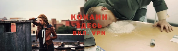 ГАЛЛЮЦИНОГЕННЫЕ ГРИБЫ Аркадак