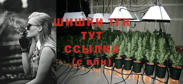 прущий лед Арсеньев