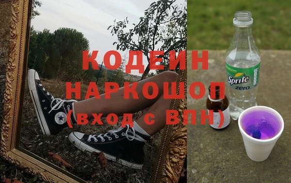 ГАЛЛЮЦИНОГЕННЫЕ ГРИБЫ Аркадак
