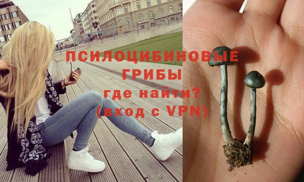дурь Пересвет
