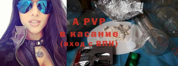 ГАЛЛЮЦИНОГЕННЫЕ ГРИБЫ Аркадак