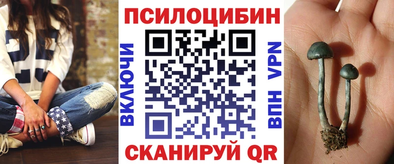 Псилоцибиновые грибы Cubensis  Артёмовский 